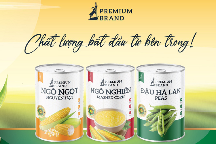thiet-ke-abo-bi-bav-ninh-binh-02