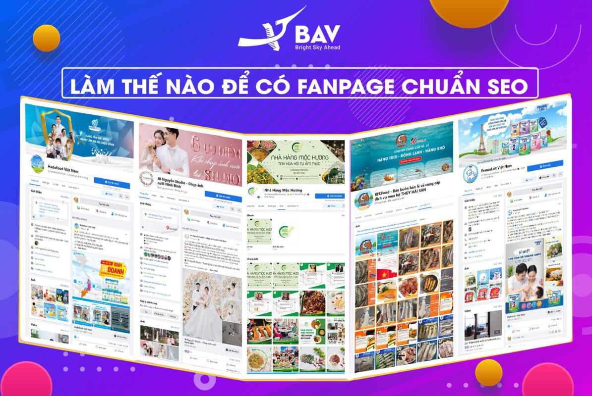BAV Ninh Bình – Cung cấp giải pháp marketing tổng thể