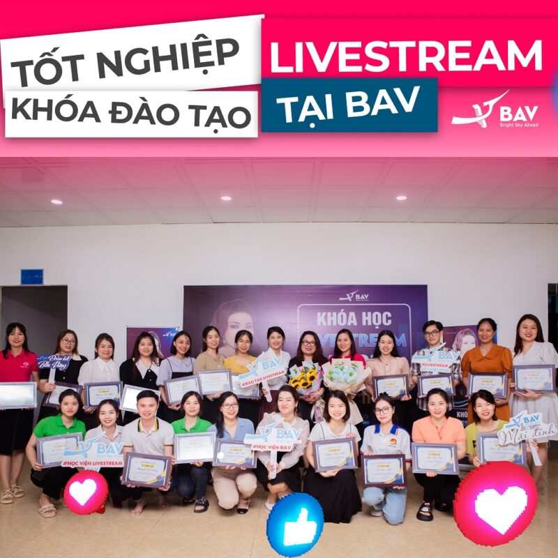 BAV Ninh Bình – Cung cấp giải pháp marketing tổng thể