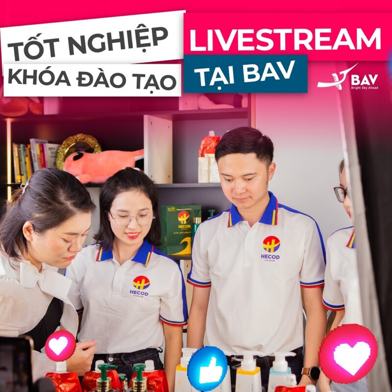 BAV Ninh Bình – Cung cấp giải pháp marketing tổng thể