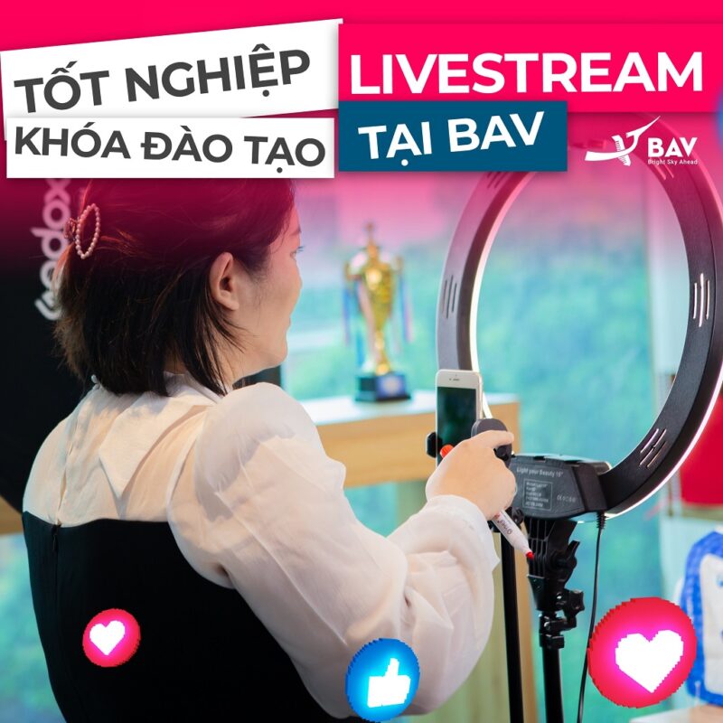 BAV Ninh Bình – Cung cấp giải pháp marketing tổng thể