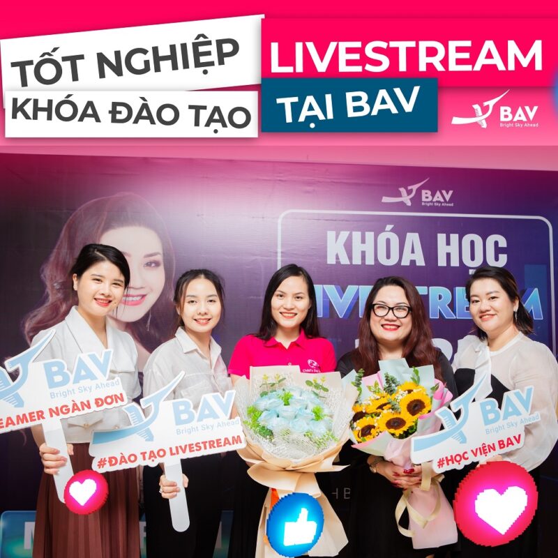 BAV Ninh Bình – Cung cấp giải pháp marketing tổng thể