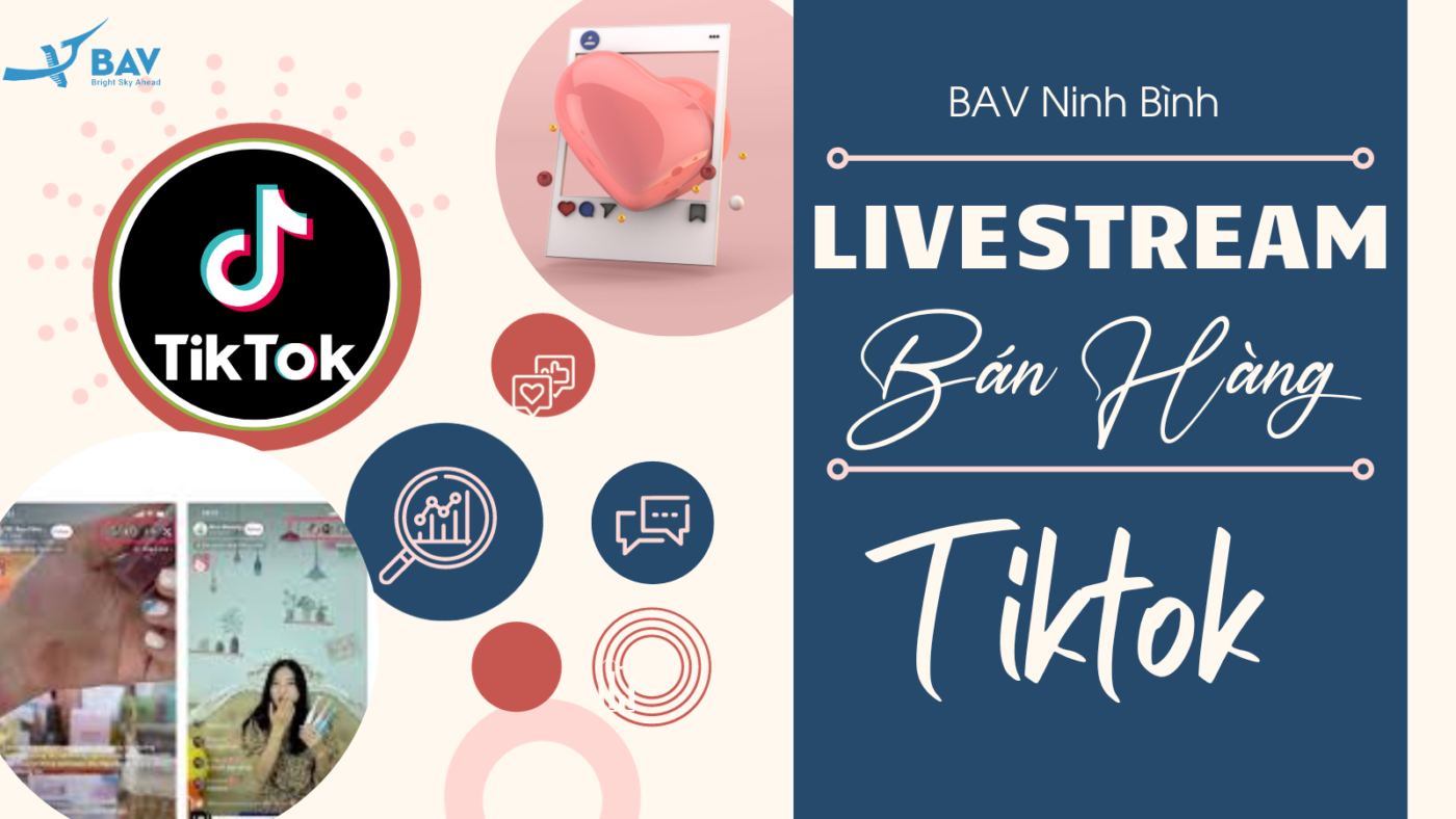 BAV Ninh Bình – Cung cấp giải pháp marketing tổng thể