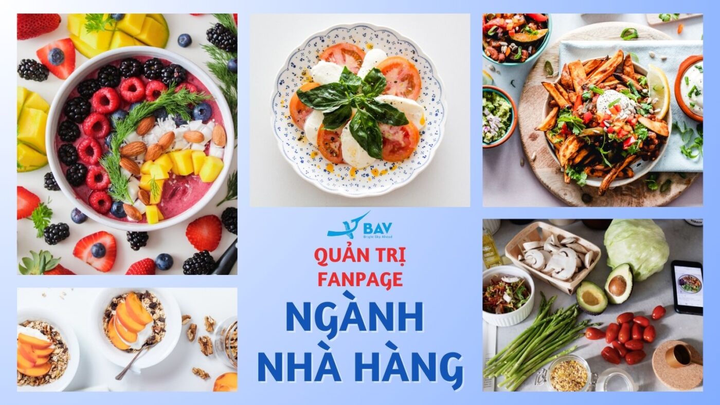 BAV Ninh Bình – Cung cấp giải pháp marketing tổng thể
