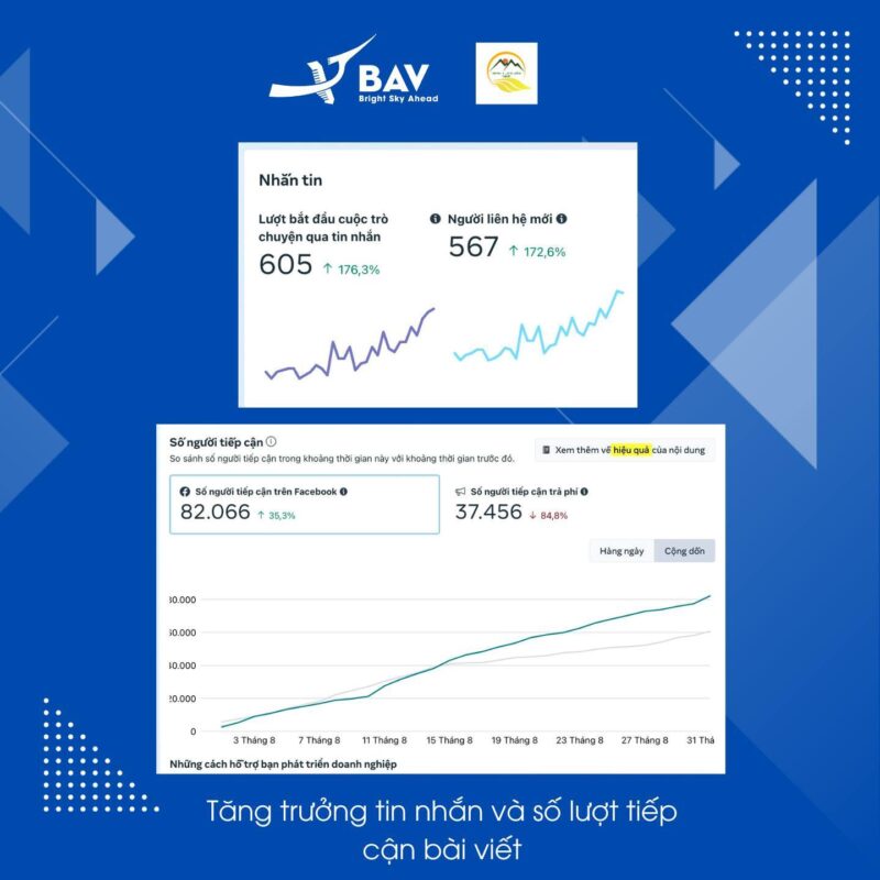 BAV Ninh Bình – Cung cấp giải pháp marketing tổng thể
