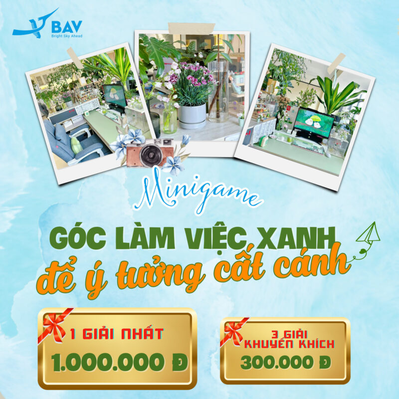 BAV Ninh Bình – Cung cấp giải pháp marketing tổng thể
