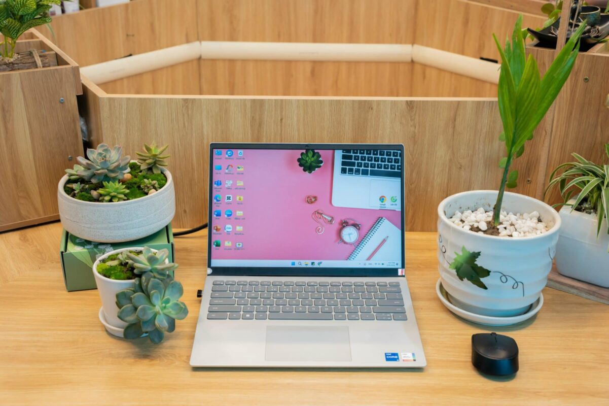 BAV Ninh Bình – Cung cấp giải pháp marketing tổng thể