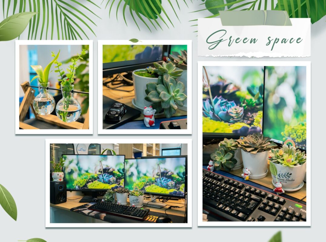 BAV Ninh Bình – Cung cấp giải pháp marketing tổng thể