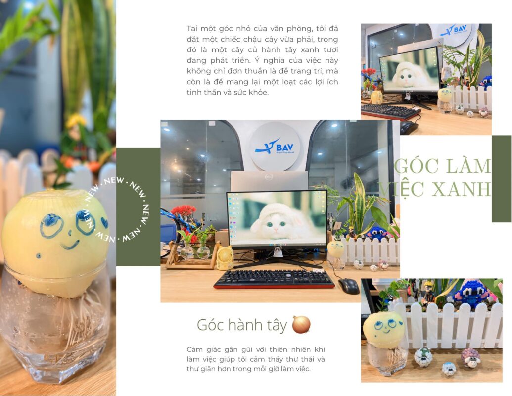 BAV Ninh Bình – Cung cấp giải pháp marketing tổng thể