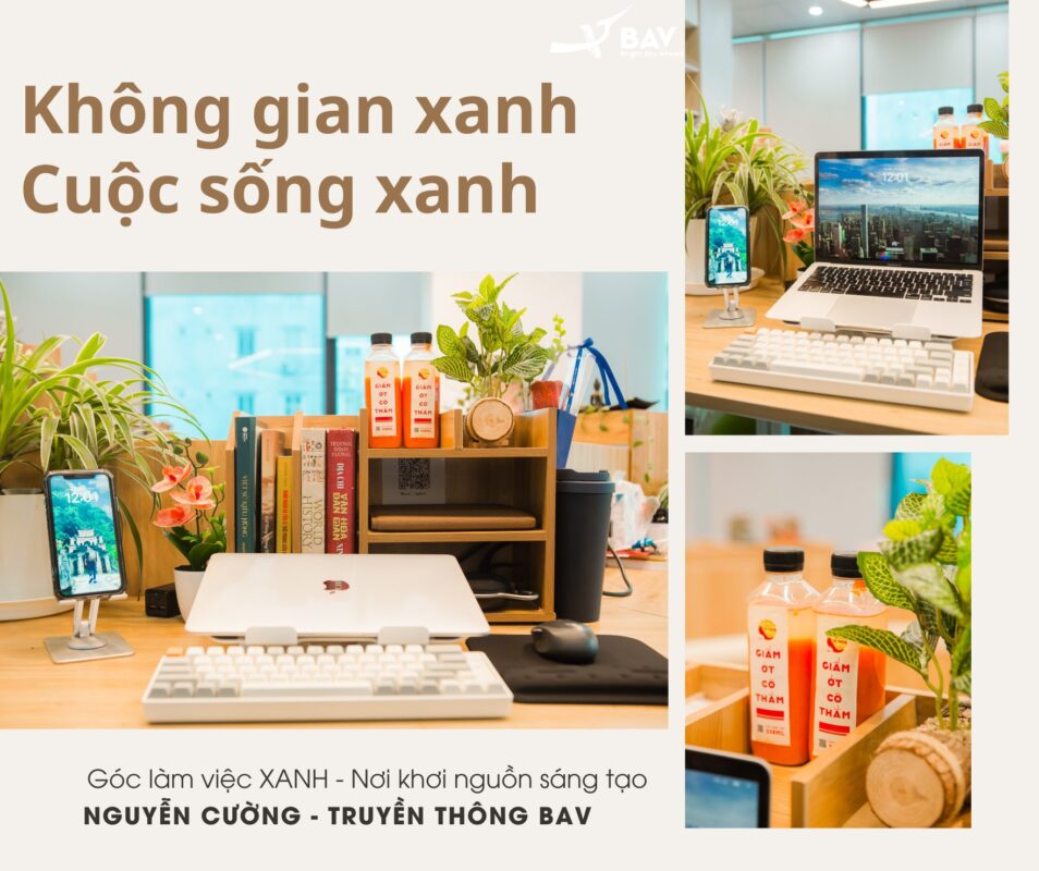 BAV Ninh Bình – Cung cấp giải pháp marketing tổng thể