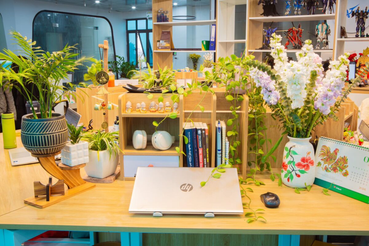 BAV Ninh Bình – Cung cấp giải pháp marketing tổng thể