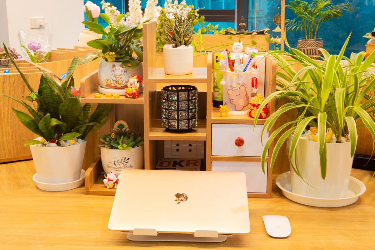 BAV Ninh Bình – Cung cấp giải pháp marketing tổng thể