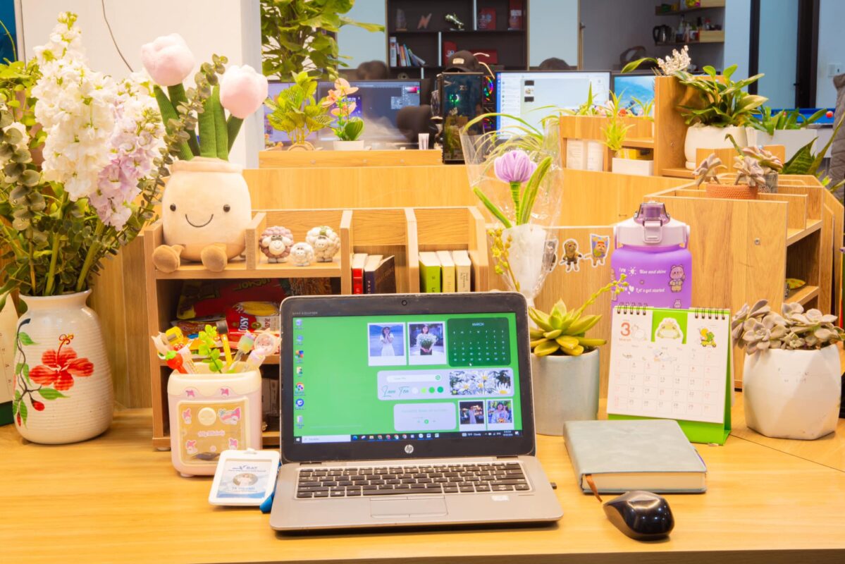 BAV Ninh Bình – Cung cấp giải pháp marketing tổng thể